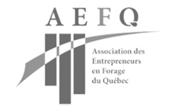 aefq-logo.png